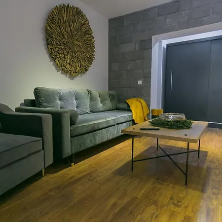 Anda Apartment Azuga